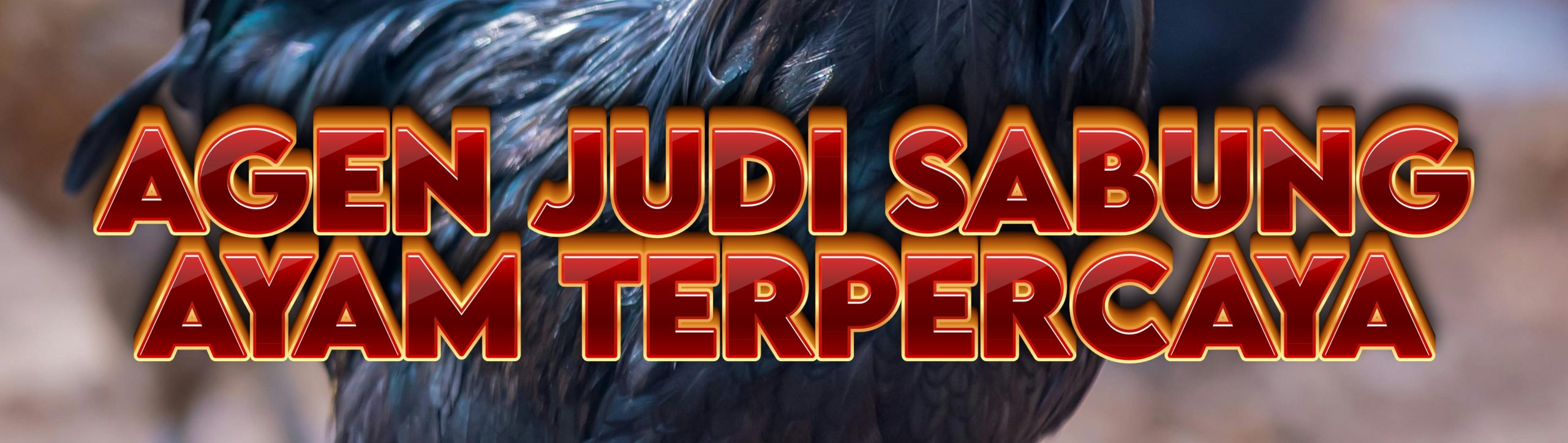 Agen Judi Sabung Ayam Online Agen Resmi SV388